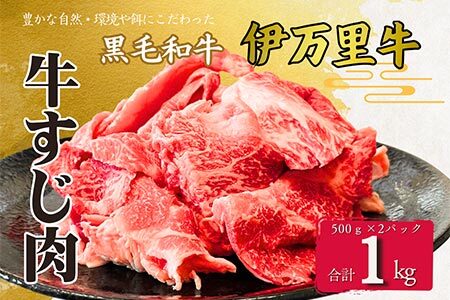 【数量限定】伊万里牛 ひきすじ 1kg(500ｇ×2Ｐ) カレー おでん 牛すじ煮込み どて煮 172-J962