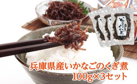  いかなごのくぎ煮 100g×3セット 