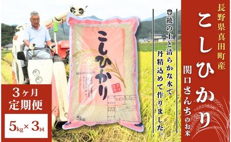 米 令和7年産 定期便 3ヵ月 コシヒカリ 関口さんちのお米 5kg お米 白米 ブランド米 定期 3回