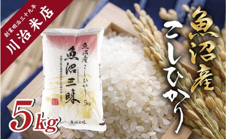 令和7年産 魚沼産 コシヒカリ 5kg 米 こしひかり お米 コメ 新潟 魚沼 魚沼産 白米 送料無料 新潟県産 精米 産直 産地直送 契約農家 お取り寄せ 魚沼三昧 川治米店 新潟県 十日町市 