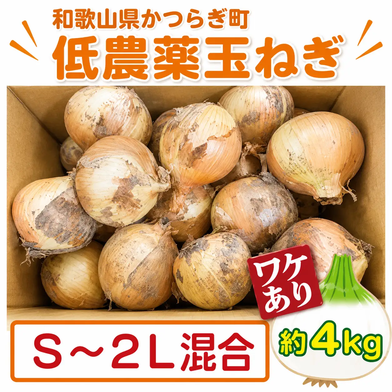 【2026年発送分・先行予約】【訳あり】農家さん直送　低農薬玉ねぎ　約4kg　S～2L混合【2026年4月中旬～7月中旬発送予定】【A264-frks157】