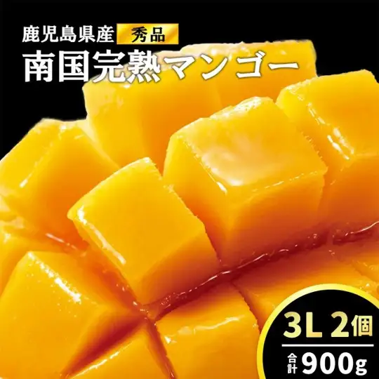【2026年発送】結いの町　南国完熟マンゴー（秀品900g）