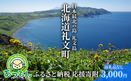 【返礼品なし】北海道 礼文町 ふるさと応援寄附金 3,000円コース ［北海道礼文町］【 寄附のみ 応援 支援 礼文島 地域貢献 自然保護 地方創生 まちづくり ふるさと納税 】