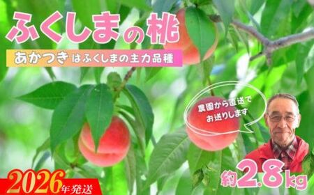 No.2896【限定150箱】ふくしまのもも　あかつき 約2.8kg【2026年発送】