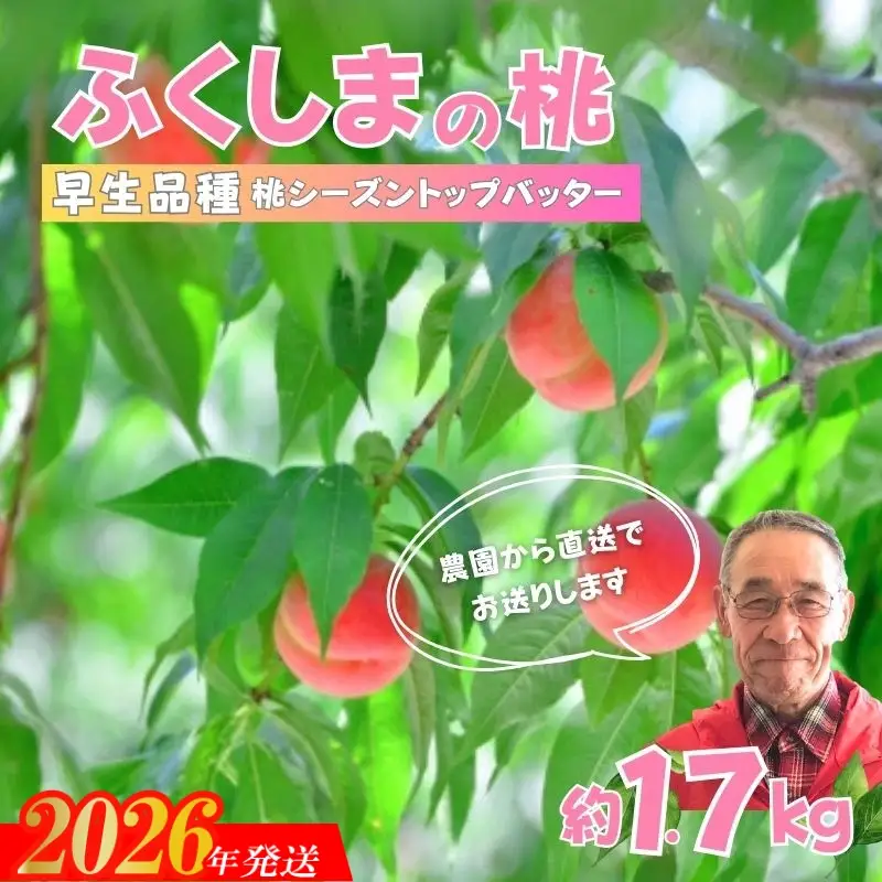 No.2897【限定100箱】ふくしまのもも　早生品種 約1.7kg【2026年発送】