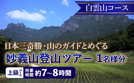 《上級コース》日本三奇勝・山のガイドとめぐる妙義山登山ツアー【白雲山コース】 (1名様分) 日本三奇勝 妙義山 登山 山岳 ツアー 上級 ガイド付き 観光 F21E-208