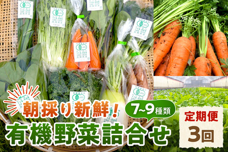 朝採り新鮮！有機野菜セット詰合せ（7～9種類）3回コース【定期便】 定期便 採れたて 産地直送 葉物 有機JAS認証 野菜セット 旬の野菜 野菜【139_1919】