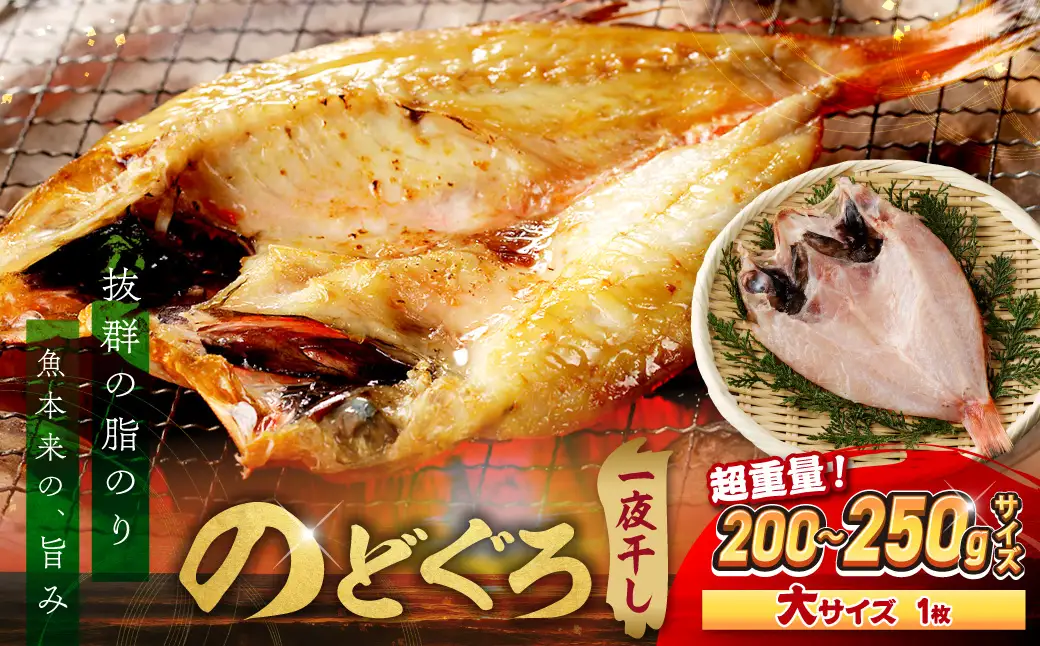 のどぐろ一夜干し個包装1枚「希少サイズ・大型200g超重量」産地直送 干物 魚 一夜干し 人気 大きい 天然 ボリューム ノドグロ 【005_2086】