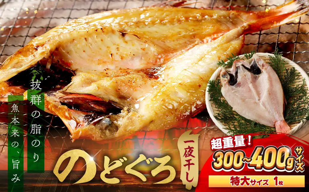 のどぐろ一夜干し個包装1枚 「超希少サイズ・特大型300g超重量」産地直送 干物 魚 一夜干し 人気 大きい 天然 ボリューム ノドグロ 【005_0130】
