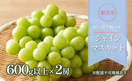 ぶどう 2026年 先行予約 贈答用 シャインマスカット 600g以上×2房 ブドウ 葡萄 岡山県 赤磐市産 フルーツ 果物 ギフト 