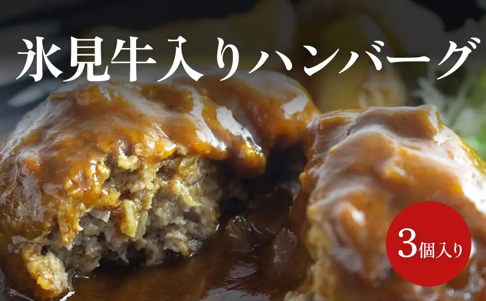 氷見牛入りハンバーグ（3個入り）<冷凍>  富山県 氷見市 ハンバーグ 惣菜 ギフト