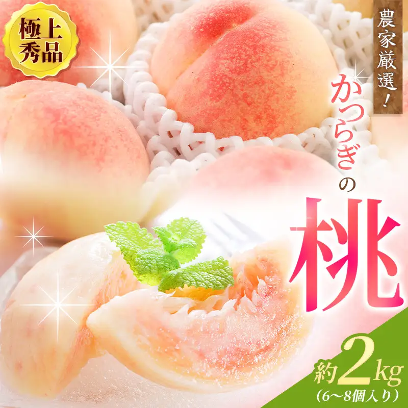 桃 和歌山県産 桃 約2kg【kgr001A】