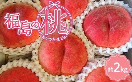 【2026年出荷分先行予約】福島県産 あかつき or まどか 約2kg (5～8玉) あんぽの柿の里ガンバっぺぃいさざわ企業組合 五十沢ブランド 伊達の桃 桃 フルーツ 果物 もも モモ momo F20C-936