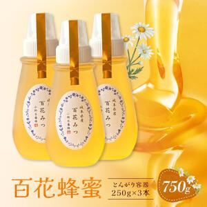 百花蜂蜜 750g（とんがり容器250g×3本）岐阜県産 国産 自慢の一品 ハチミツ 無添加 純粋はちみつ ハニー【オノギ養蜂】