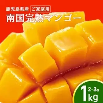 【2026年発送】【ご家庭用】結いの町　南国完熟マンゴー（1ｋｇ）