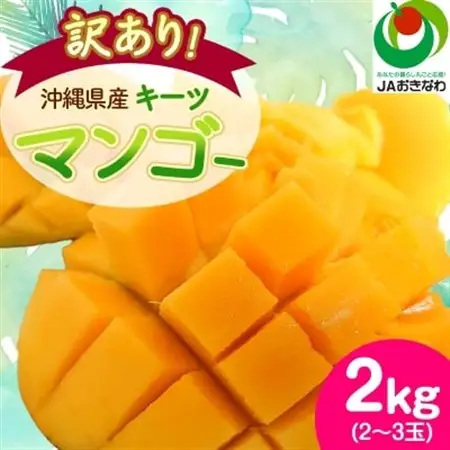 【2026年8月から順次発送・訳あり】JAおきなわ厳選!沖縄県産キーツマンゴー2kg(2～3玉)【配送不可地域：離島】【1494452】