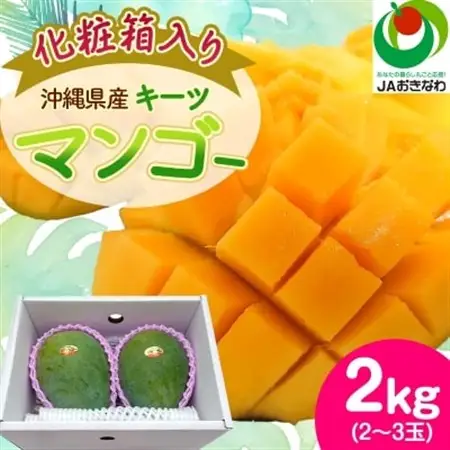 【2026年8月から順次発送・化粧箱】JAおきなわ厳選!沖縄県産キーツマンゴー2kg(2～3玉)【配送不可地域：離島】【1494471】
