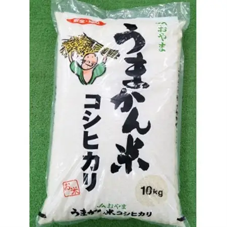 令和7年産　栃木県小山市産　コシヒカリ　うまかん米　精米10kg【1491364】