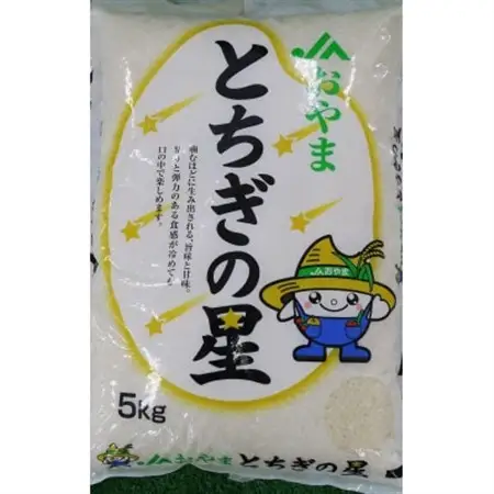 令和7年産　栃木県小山市産　とちぎの星　精米5kg【1491372】