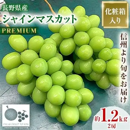 2026年発送「産地より信州中野の旬をお届け」 シャインマスカット　PREMIUM　約1.2kg【配送不可地域：離島】【1311086】