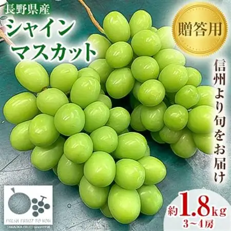 2026年発送「産地より信州中野の旬をお届け」 シャインマスカット　贈答用　約1.8kg【配送不可地域：離島】【1311089】