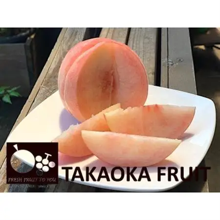  高丘フルーツの長野県産「もも」贈答用　約3Kg　8-12玉前後【配送不可地域：離島】【1407548】