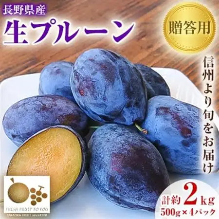 高丘フルーツの長野県産「生プルーン」贈答用　約2Kg【配送不可地域：離島】【1407599】