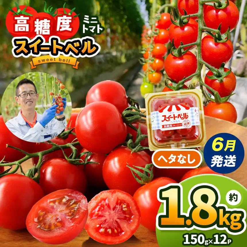 【6月発送】 高糖度 ミニトマト スイートベル （ ヘタなし ） 150g × 12P | 野菜 トマト ミニトマト プチトマト トマト 高糖度 トマト とまと 小分け 千葉 君津 きみつ