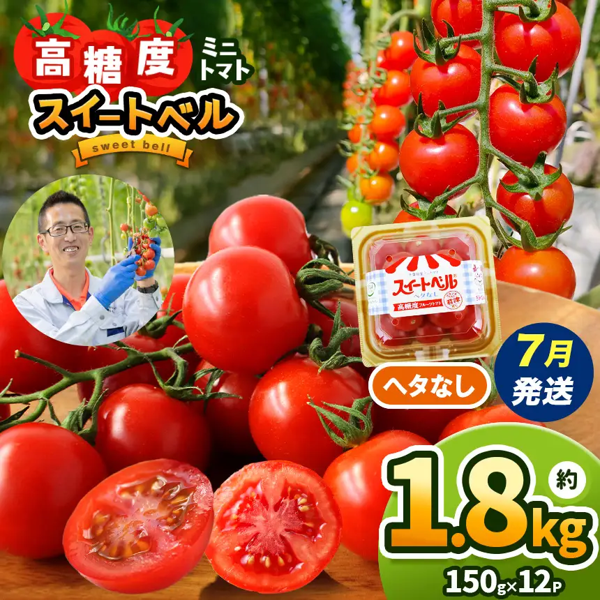 【7月発送】 高糖度 ミニトマト スイートベル （ ヘタなし ） 150g × 12P | 野菜 トマト ミニトマト プチトマト トマト 高糖度 トマト とまと 小分け 千葉 君津 きみつ