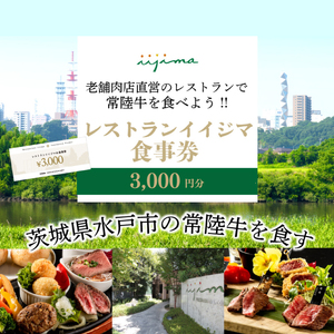 レストラン 食事券 水戸 茨城県 創業45年 レストランイイジマ 常陸牛 ディナー ランチ クーポン 寄付 1万円 3000円分 肉のイイジマ（DU-121）