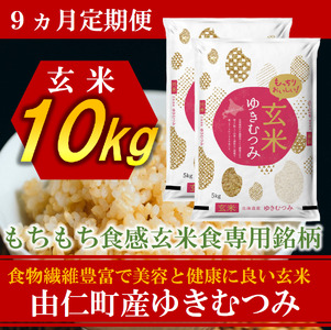 【９カ月定期】ゆきむつみ　10kg（5㎏×2個）計90㎏　(TT18)