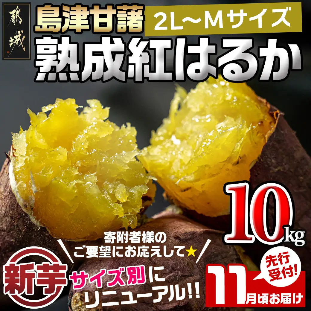 先行受付!【11月お届け】島津甘藷　熟成紅はるか 10kg(2L～M)〔12-A7-001-10kg-11〕_(都城市) 島津甘藷 紅はるか 未選別 10kg 2L～M