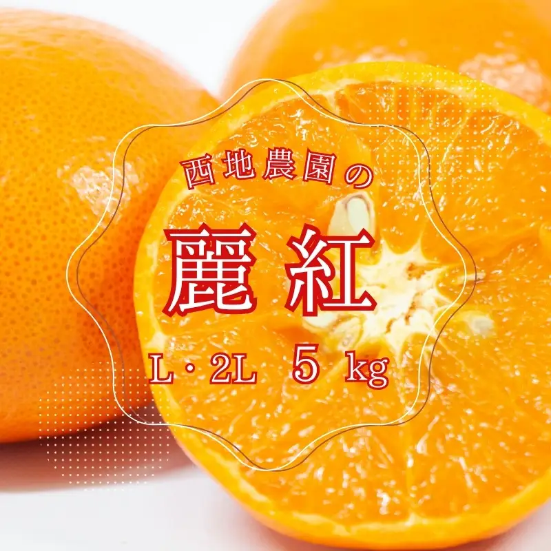 【先行予約】西地農園の麗紅 (れいこう) 5kg L・2L【2027年2月初旬から順次発送】 / 麗紅 れいこう 柑橘 みかん ミカン 柑橘 果物 くだもの 国産 数量限定 ご家庭用 家庭用【mnd007B】
