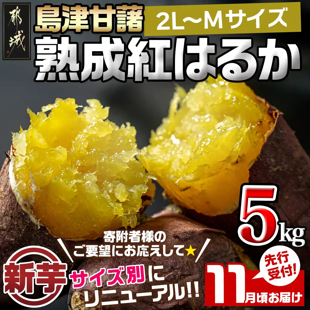 先行受付!【11月お届け】島津甘藷　熟成紅はるか 5kg(2L～M)〔LE-A7-001-5kg-11〕_(都城市) 島津甘藷 紅はるか 未選別 5kg 2L～M