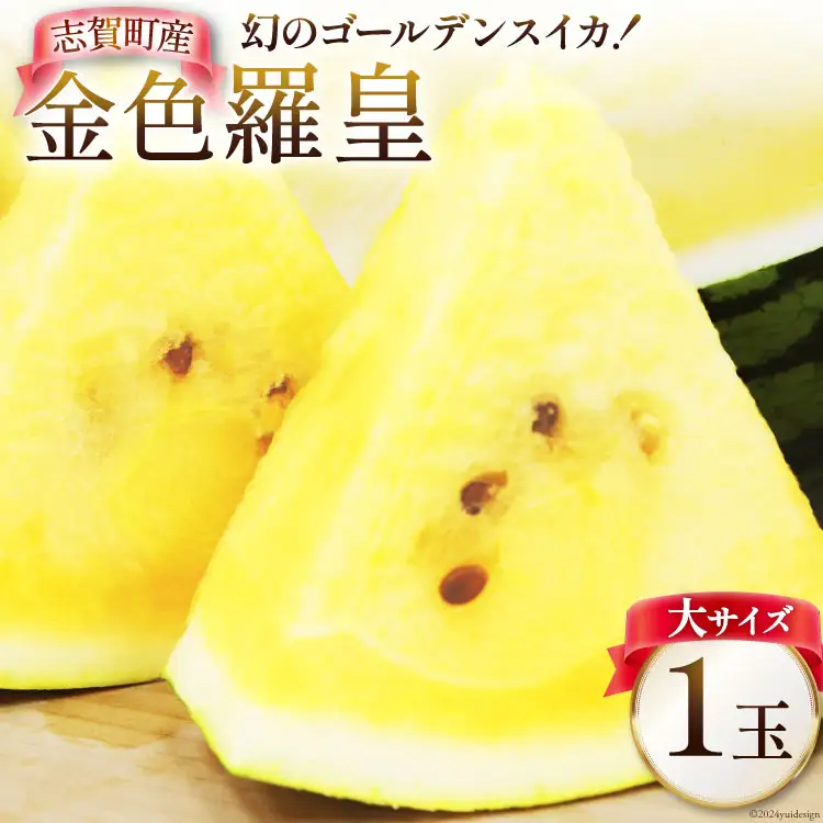 【期間限定】 スイカ 大サイズ 金色 羅皇 (黄色) 【幻のゴールデンスイカ】8kg 前後 1玉 [米吉農園 石川県 志賀町 BA4126]