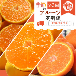 G60-T74_【定期便 全3回】紀州和歌山産旬の柑橘セット（田村みかん・はるみ・不知火）