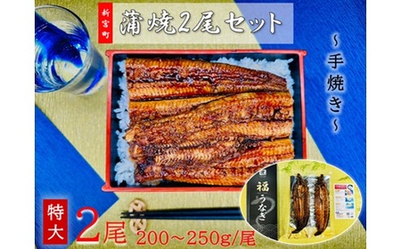 AE235.うなぎ蒲焼2尾（計400～500g）