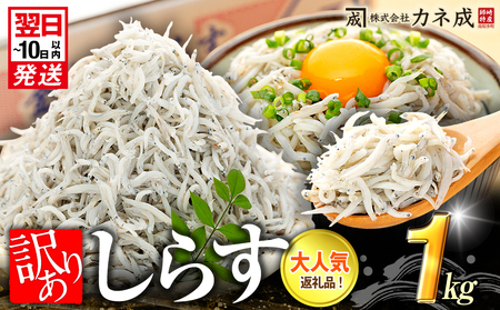 訳あり 釜揚げしらす 1kg 小分け 減塩しらす