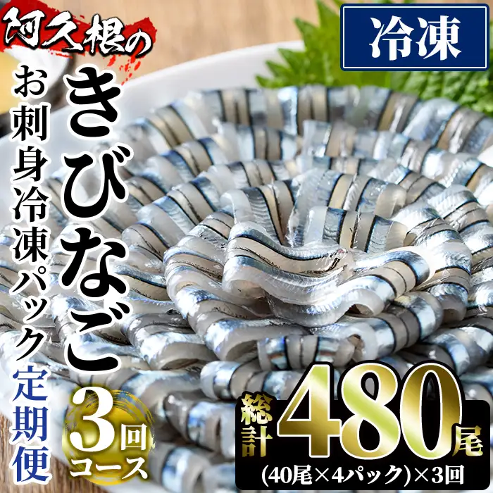 ＜定期便・全3回(冷凍便)＞鹿児島県産！阿久根のきびなごお刺身セット(計480尾・40尾×4P×3回) 冷凍 魚介類 海鮮 魚 きびなご キビナゴ 刺身 さしみ 刺し身 青魚 子魚 小分け【椎木水産】akn054-14