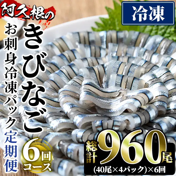 ＜定期便・全6回(冷凍便)＞鹿児島県産！阿久根のきびなごお刺身セット(計960尾・40尾×4P×6回)冷凍 魚介類 海鮮 魚 きびなご キビナゴ 刺身 さしみ 刺し身 青魚 子魚 小分け【椎木水産】akn054-15
