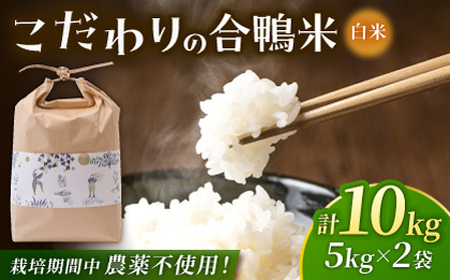 〈令和7年度産米〉 あいがも米 5kg×2 計10kg 【あいがもん倶楽部】 令和7年産 [ZAR027]
