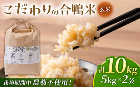 〈令和7年度産米〉 あいがも玄米 5kg×2 計10kg 【あいがもん倶楽部】 令和7年産 [ZAR029]