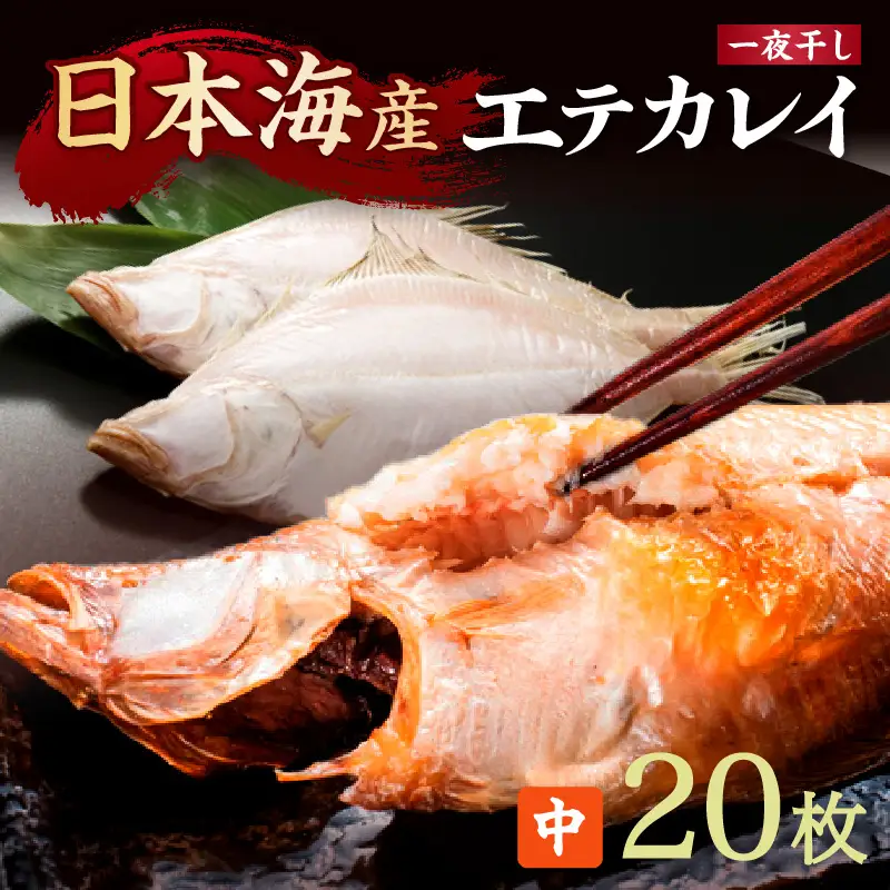 【店主一押し！絶品干物！高リピート！】エテカレイ一夜干し　中サイズ（朝食サイズ）20枚