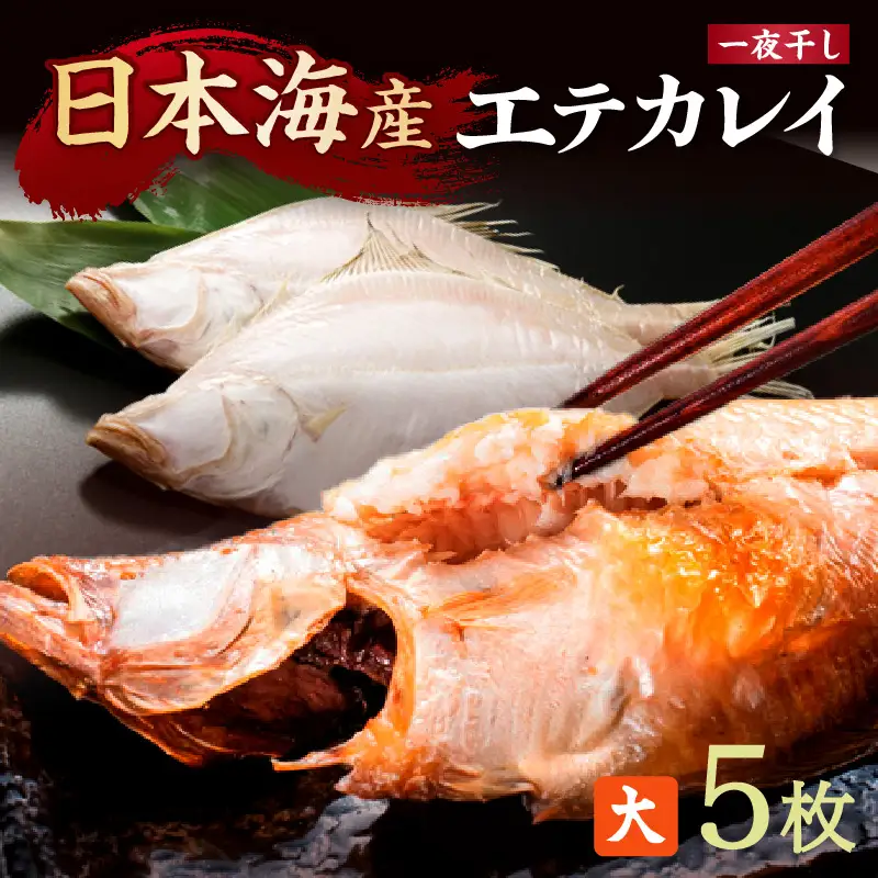 【店主一押し！絶品干物！高リピート！】エテカレイ一夜干し　大サイズ（夕食サイズ）5枚