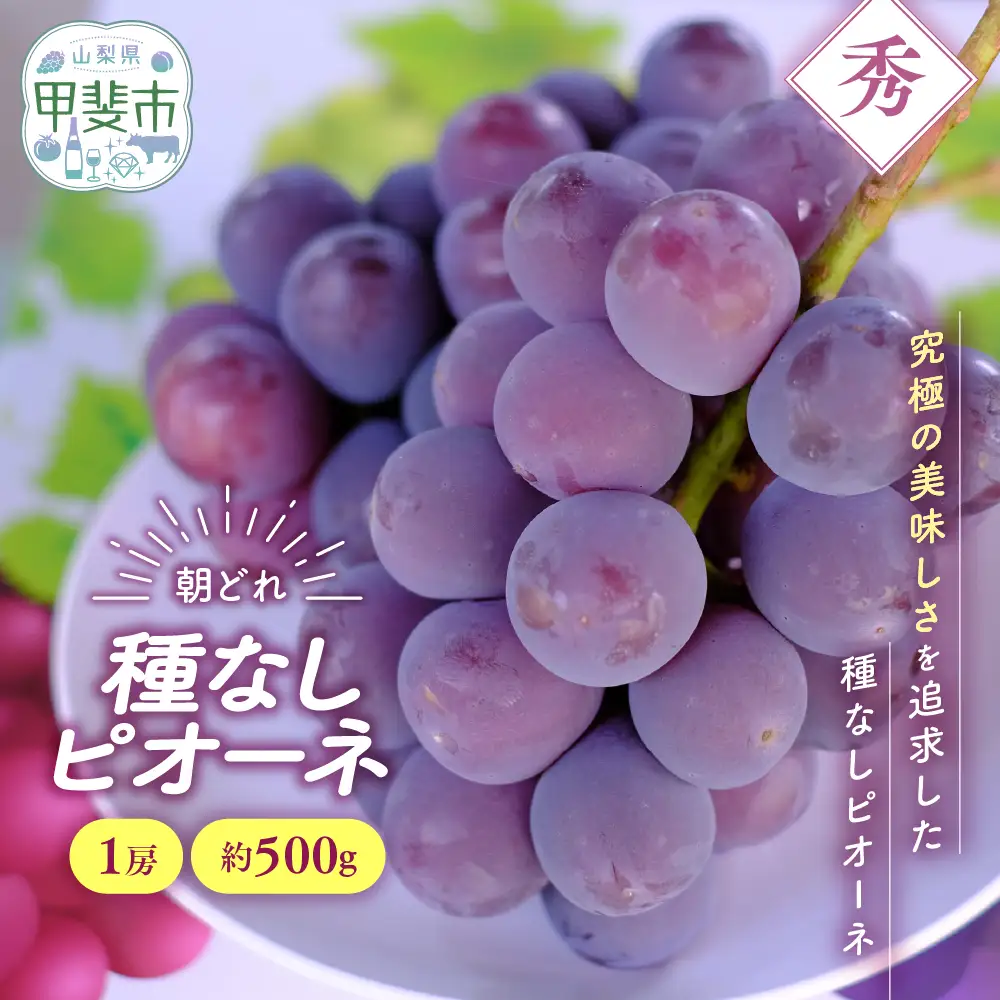 種なし ピオーネ 1房 約500g 山梨県産ぶどう ぶどう