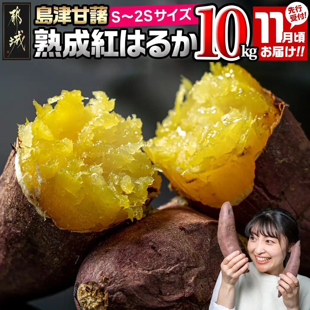 先行受付!【11月お届け】島津甘藷　熟成紅はるか 10kg(S～2S)〔12-A7-001-10kg-m-11〕_(都城市) 島津甘藷 紅はるか サツマイモ 未選別 10kg S～2S