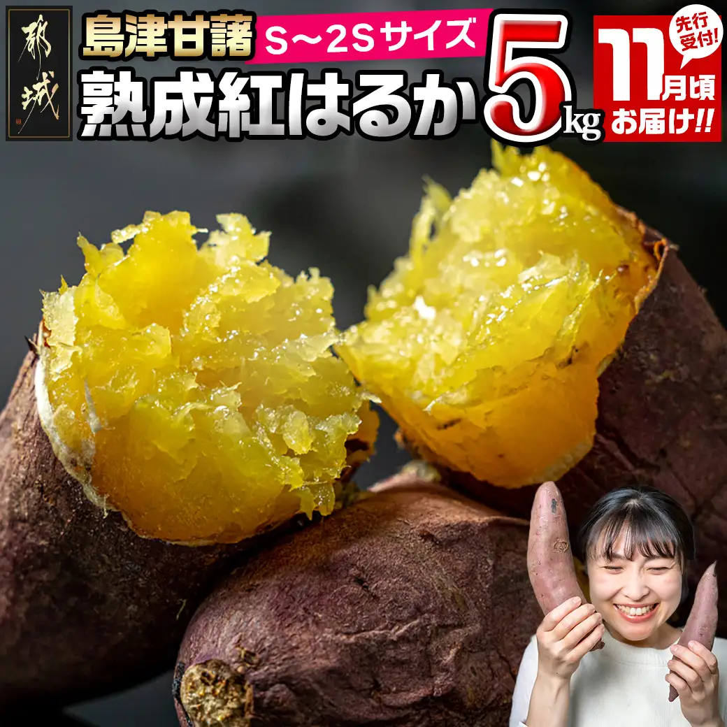 先行受付!【11月お届け】島津甘藷 熟成紅はるか 5kg(S～2S)〔LE-A7-001