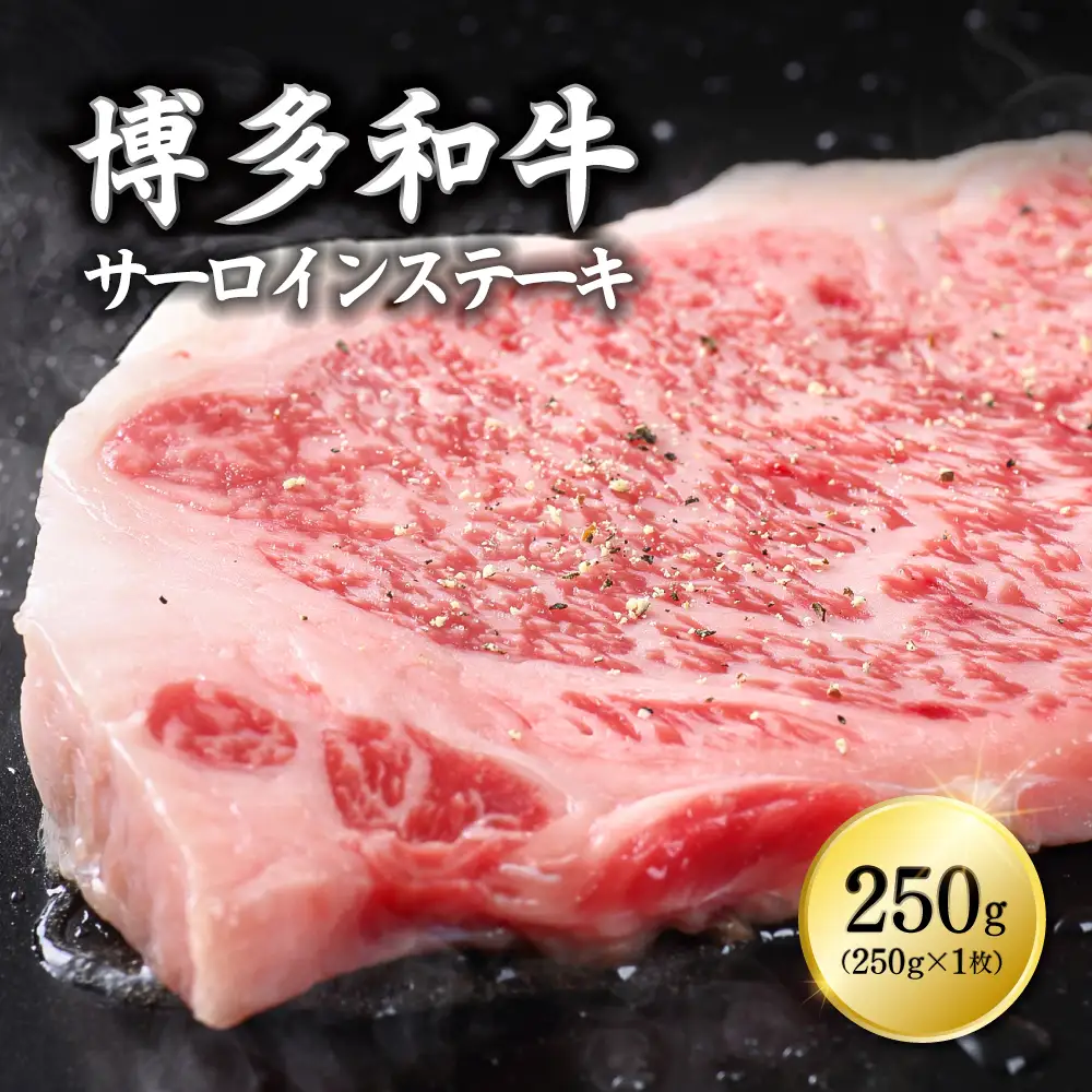博多和牛サーロインステーキ　250ｇ×1枚 3G10-S