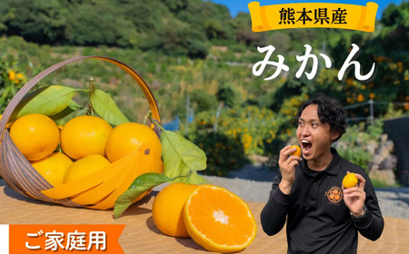 【訳アリ】「河内みかん堂」のみかん4kg＋傷み補償付き（家庭用）【2026年11月上旬～2027年2月上旬まで発送予定】
