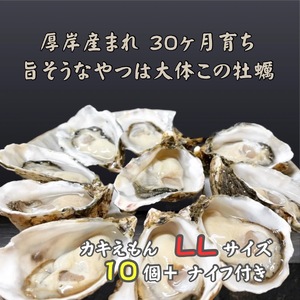 厚岸で産まれ30ヵ月育成 北海道 厚岸産 牡蠣 カキえもん LLサイズ 10個 カキ 